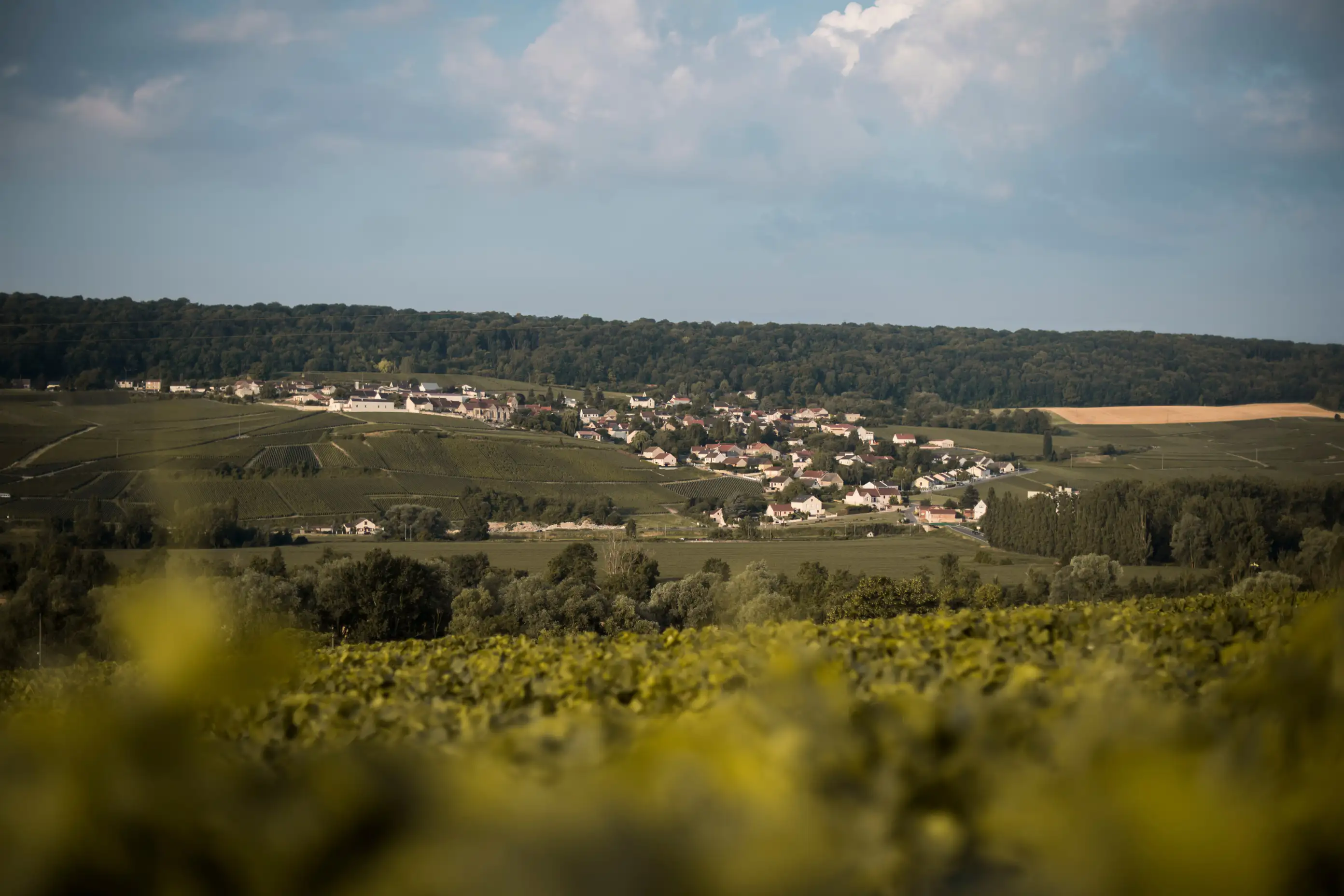 Champagne Regions Map