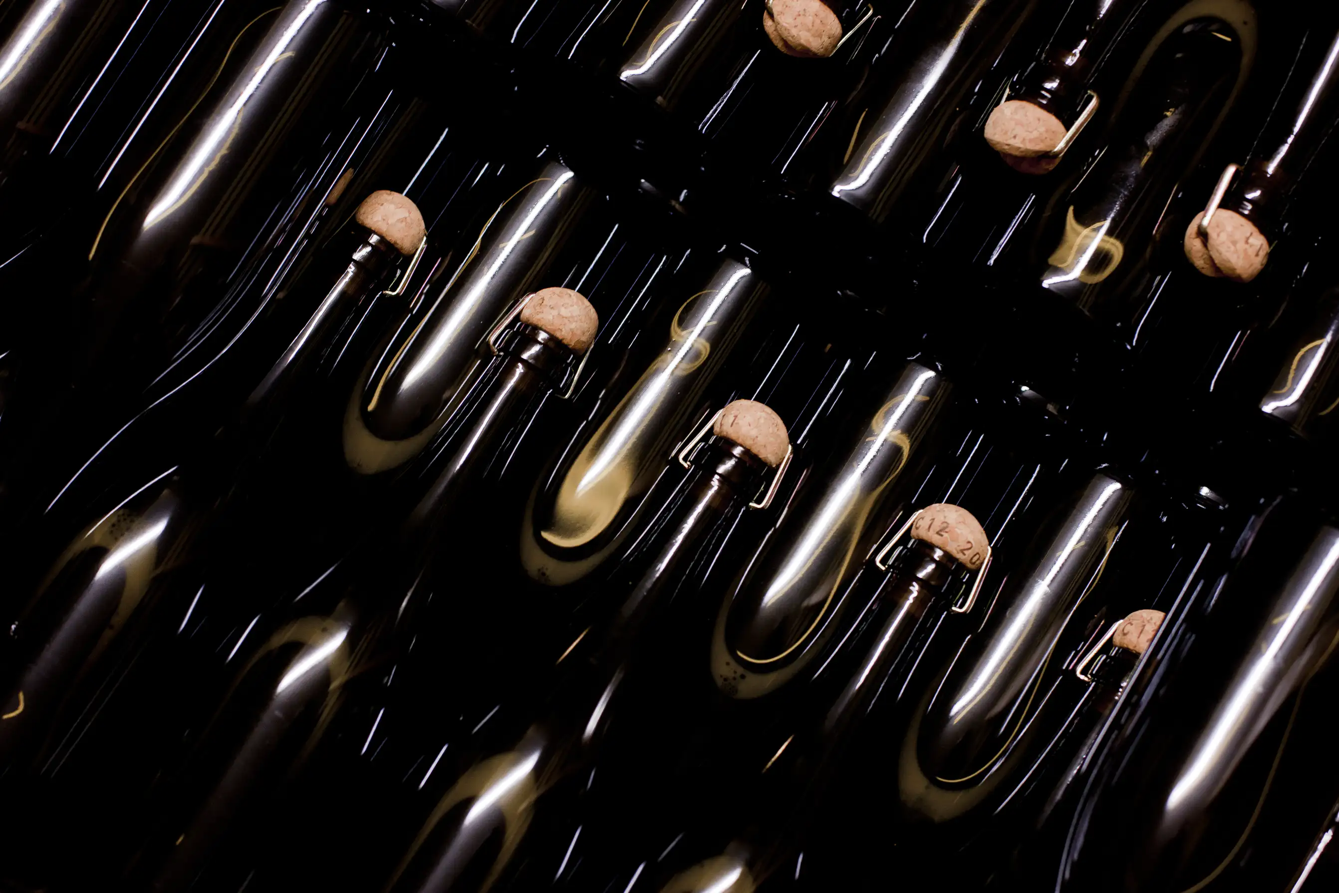 Understanding Champagne Classifications: A Guide to Styles, Grapes, and Vintage