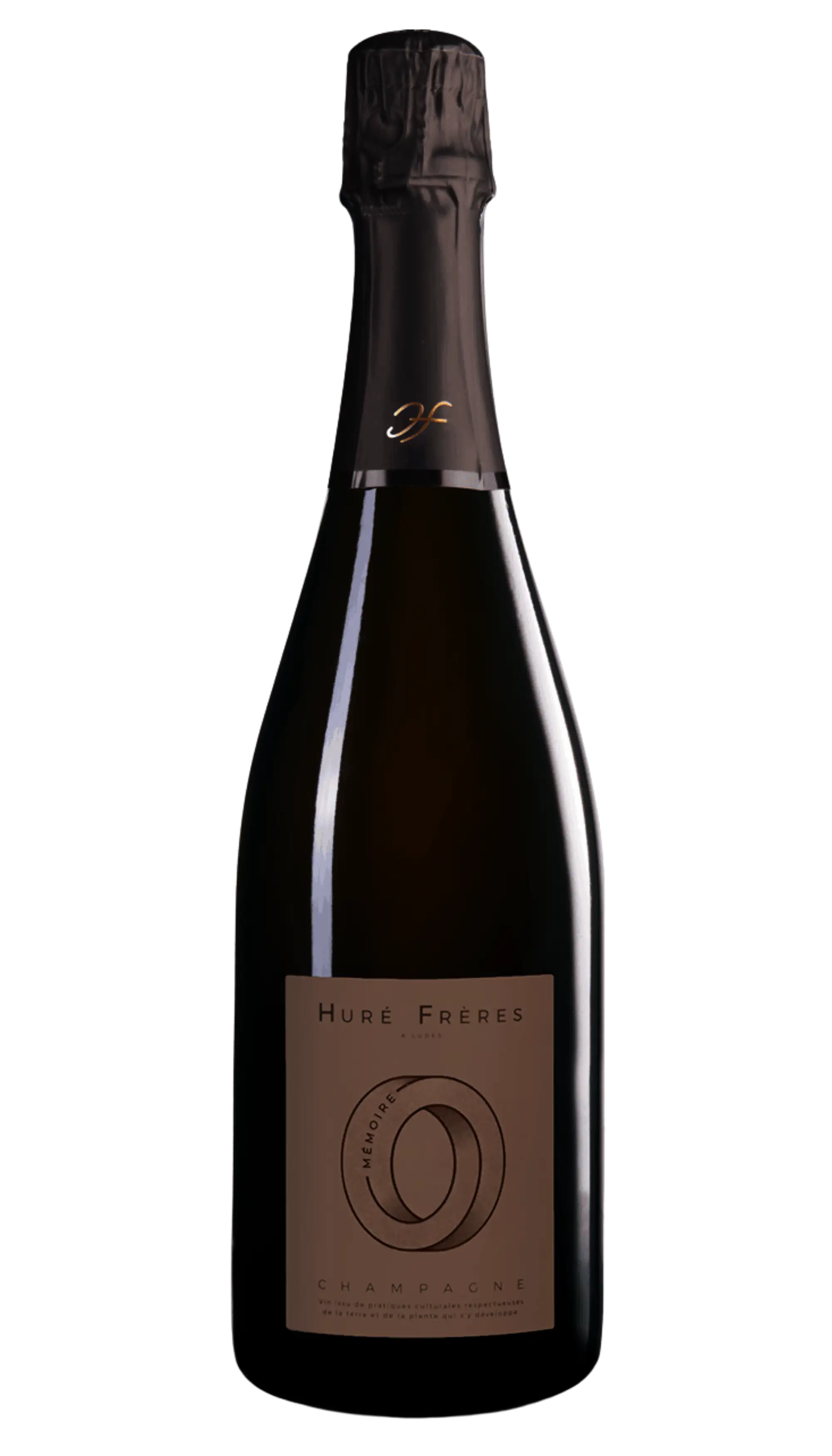 Mémoire Extra Brut
