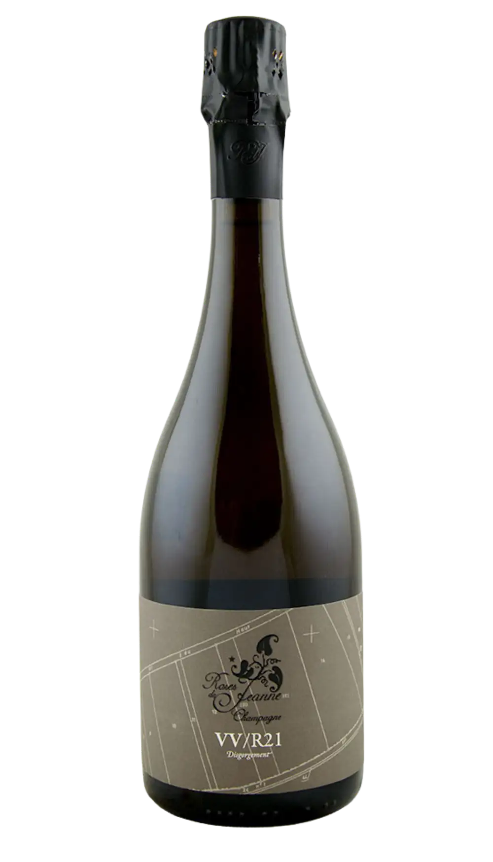 Roses de Jeanne VV R22