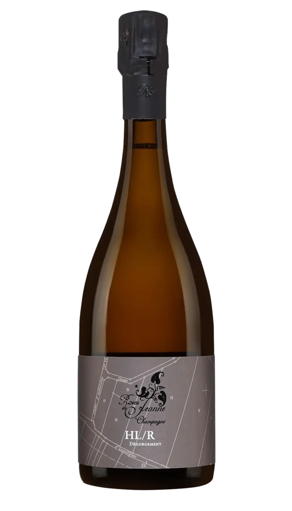 Roses de Jeanne HL R20