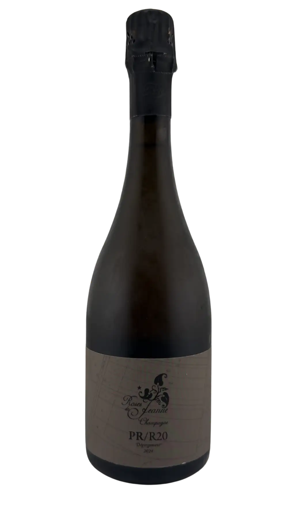 Roses de Jeanne PR R20