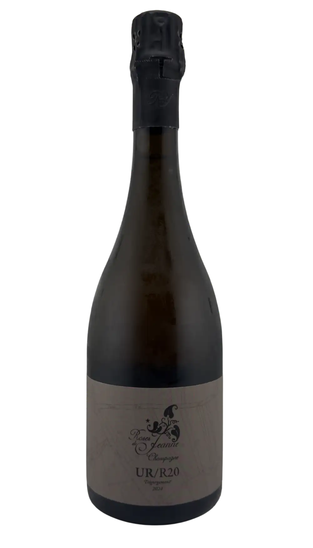 Roses de Jeanne UR R20