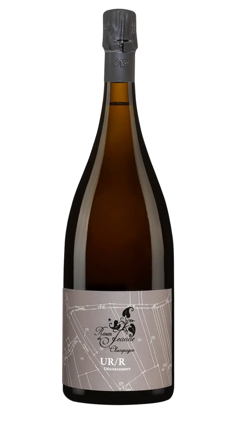 Roses de Jeanne UR R20 Magnum