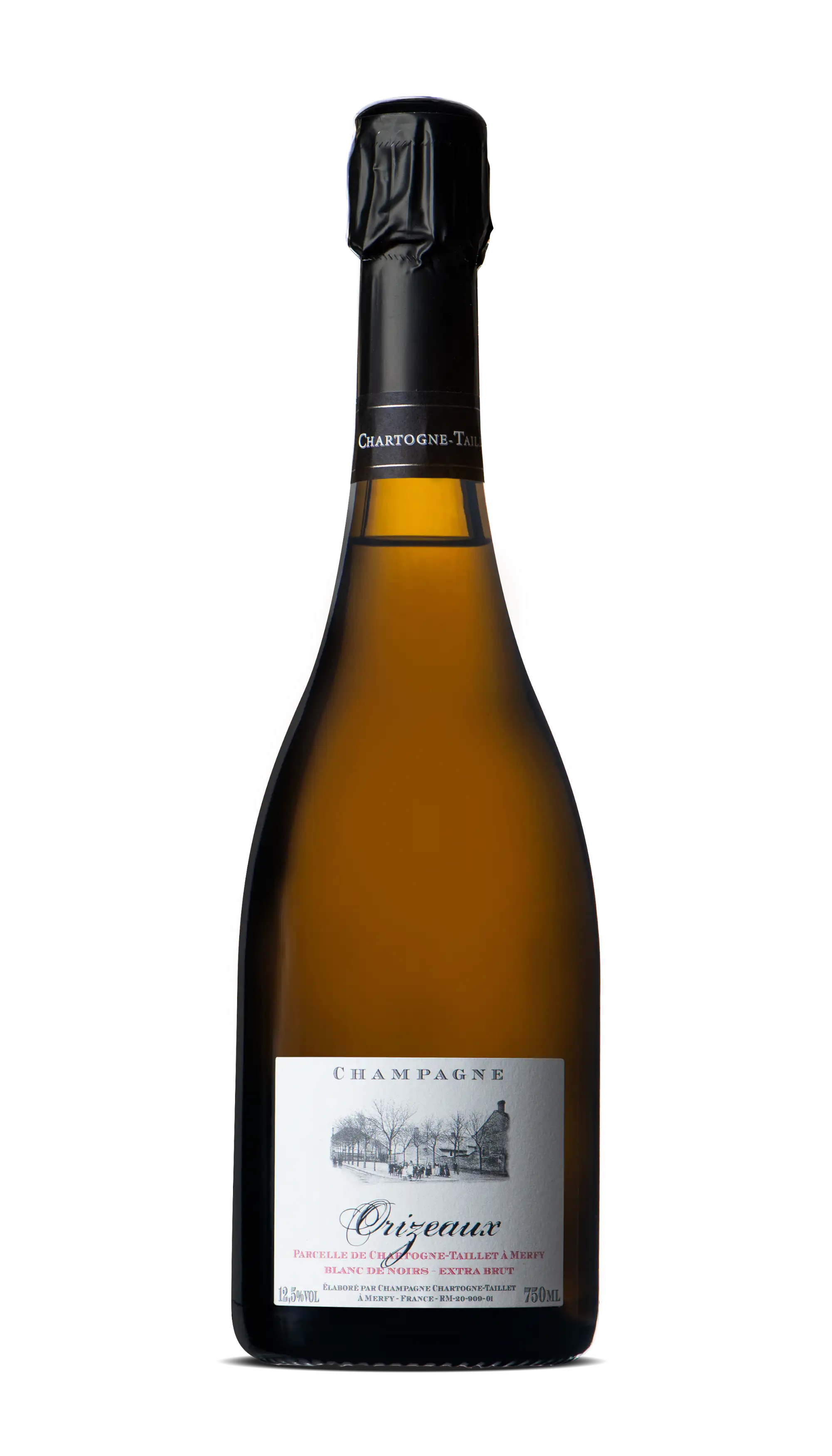 Oriseaux