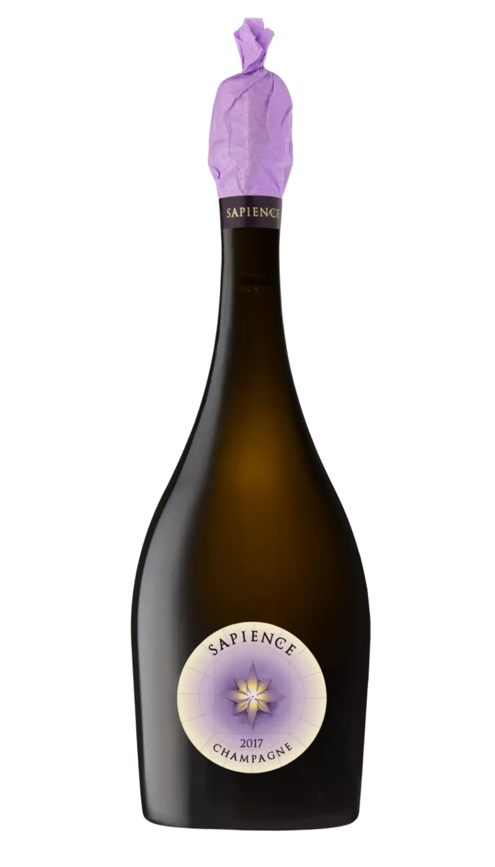 Sapience 2017