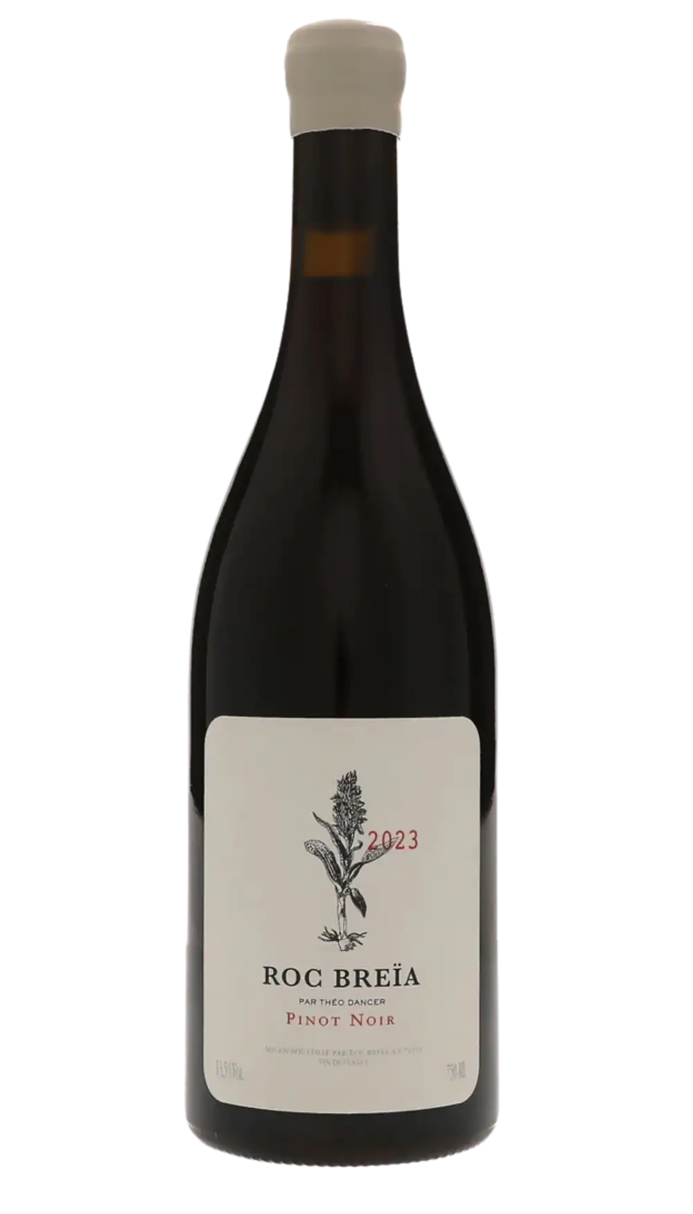 Pinot Noir 2023 Rouge