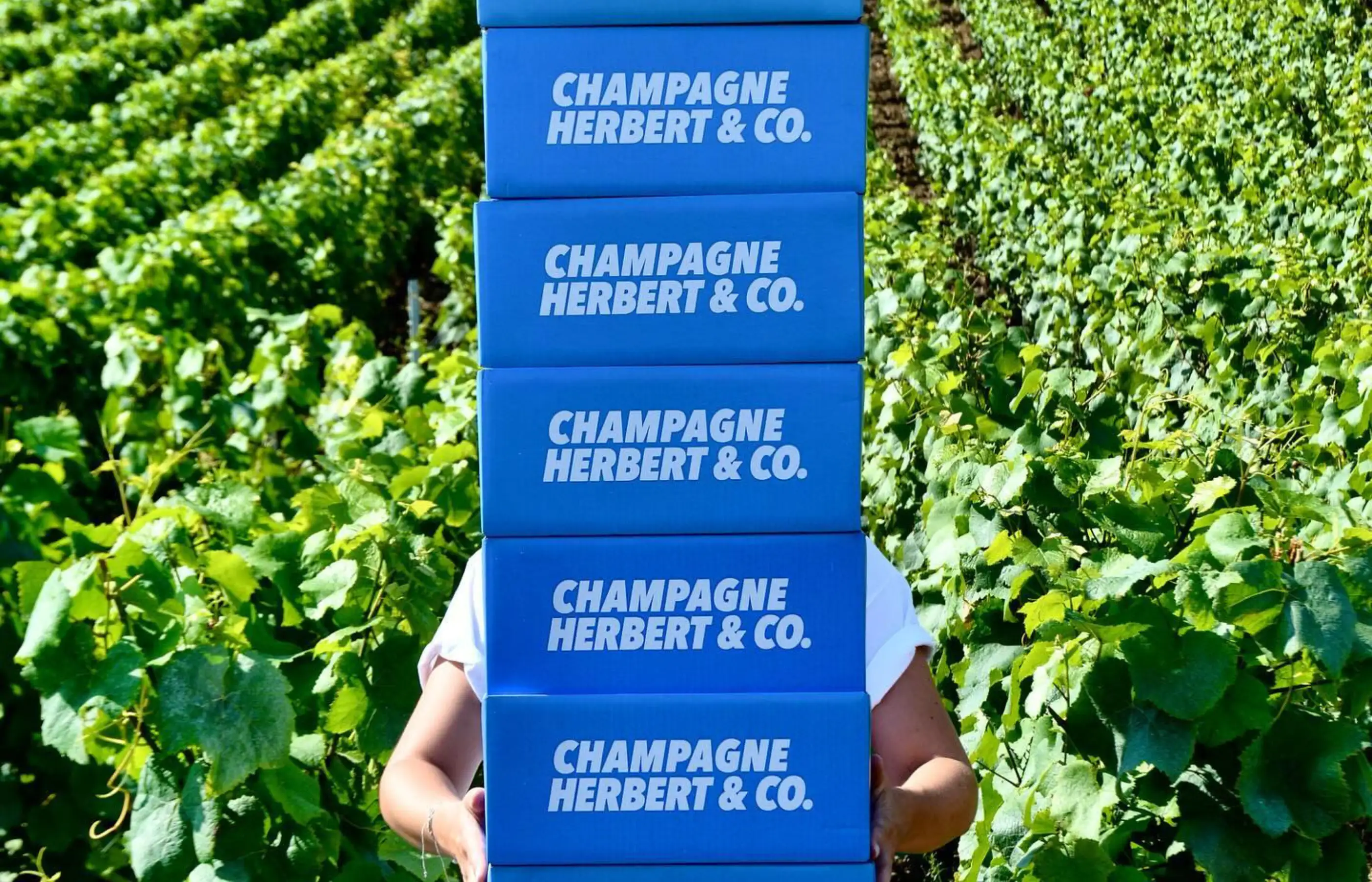 Herbert & Co