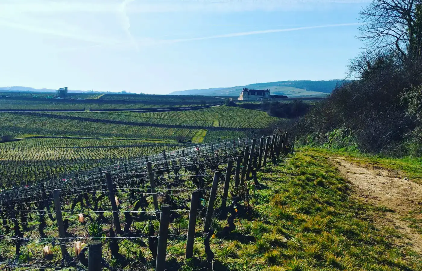 Discover the Region of Côte de Nuits | Champavin Producers