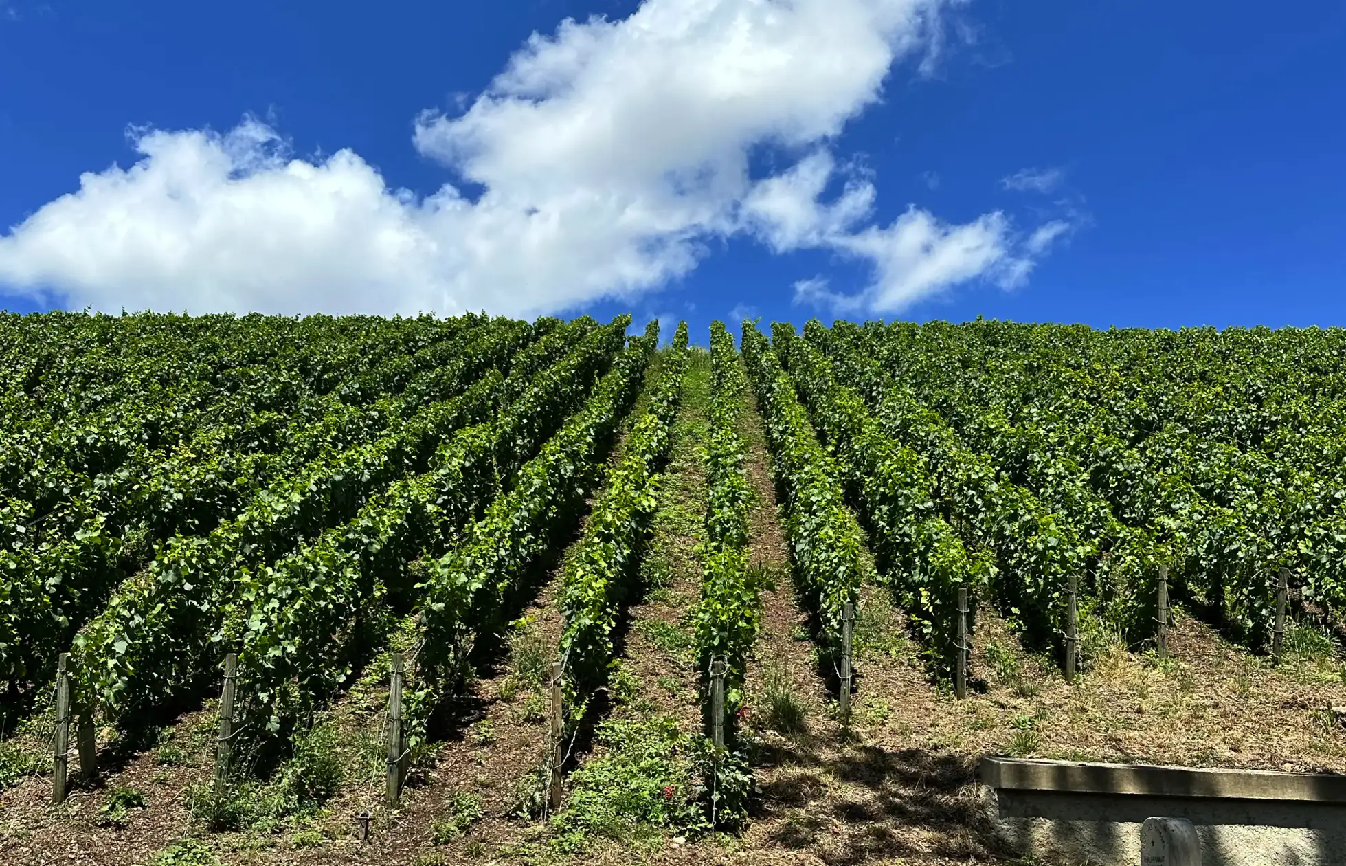 Discover the Region of Grande Vallée | Champavin Producers