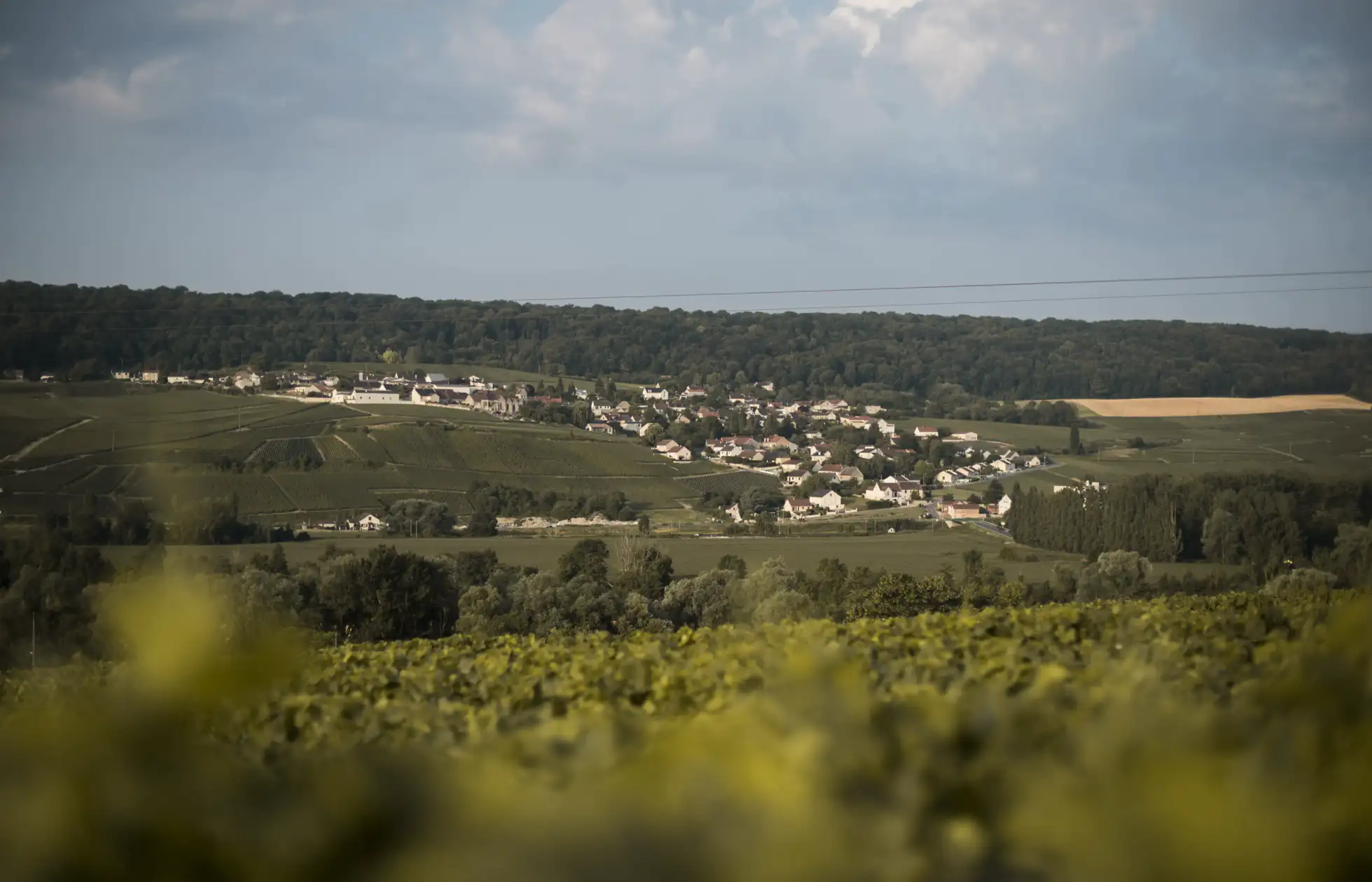 Discover the Region of Vallée de la Marne | Champavin Producers